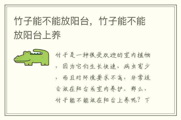 竹子能不能放阳台，竹子能不能放阳台上养